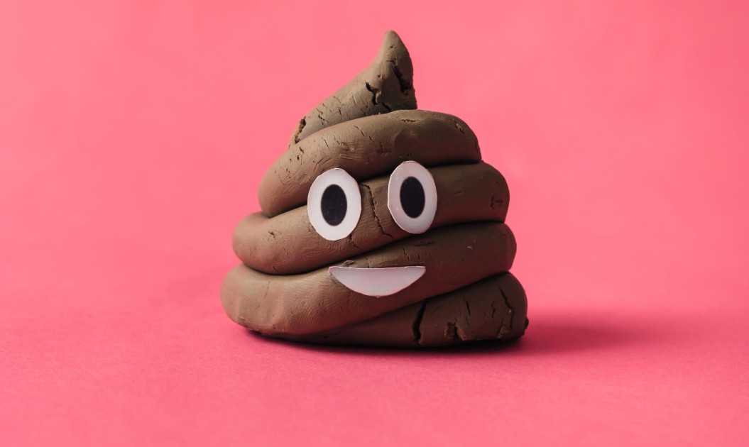TRASPLANTE FECAL, ¿EL FIN DE LA OBESIDAD?